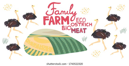 Cute ostrich handdrawn vector illustration. Family farm illustration and lettering.  Exotic animal  isolated on white background. Farm birds, rural landscape. Design elements for a poster, banner