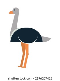 Cute Ostrich Icon On White Background