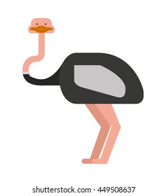cute ostrich isolated icon design, vector illustration  graphic 
