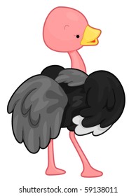 A Cute Ostrich looking Back - Vector