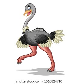 A cute ostrich is running while smiling