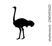 Cute ostrich silhouette vector flat illustration design on white background.