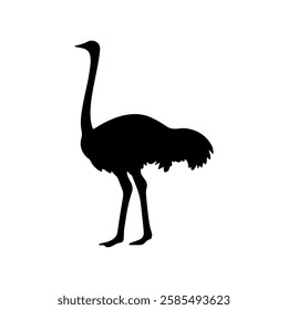 Cute ostrich silhouette vector flat illustration design on white background.