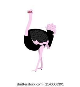 Cute ostriches on a white background. Vector flat illustration with flightless bird