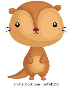 Cute Otter