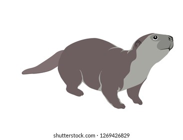 Cute otter in color simply stile 