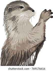 cute otter drawn in vector