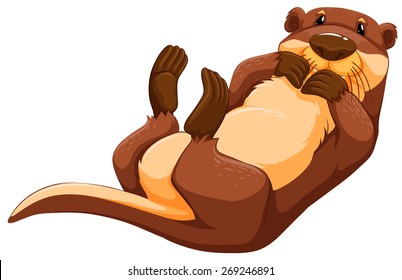 Cute otter lying on his back