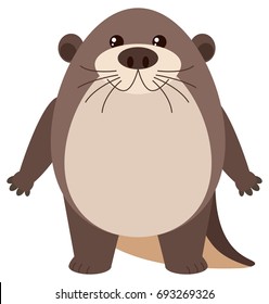 Cute otter on white background illustration