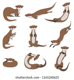 Cute otter set, funny animal character in various poses vector Illustration on a white background