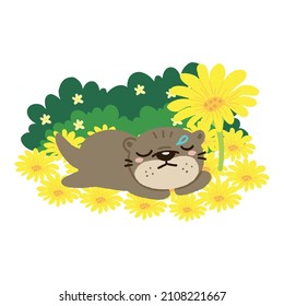 Cute Otter sleeping on flower field.