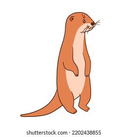 Cute otter, vector flat cartoon illustration isolated on white background. Otters standing.