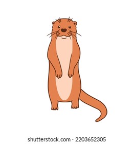 Cute otter, vector flat cartoon illustration isolated on white background. Otters standing.