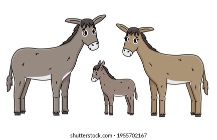 Cute outline cartoon hand drawn donkey family. Gray Male father, brown female mother with eyelashes and foal baby kid vector doodle farm animals isolated illustration on white background, side view