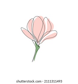 Cute outline drawing of single blooming magnolia flower with pastel pink colored abctract petals.Modern minimalism art,vector aesthetic contour illustration.For print,stickers,postcard,invitations.
