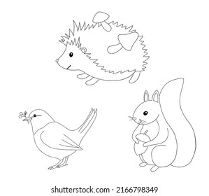 Cute outline hedgehog, squirrel and bird for coloring page. Hand drawn characters forest animals isolated on white background. Line Woodland fall illustration

