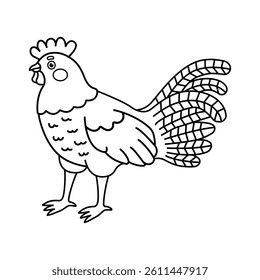 Cute outline rooster coloring pages for kids. Cartoon vector illustration of hand drawn poultry isolated on white background