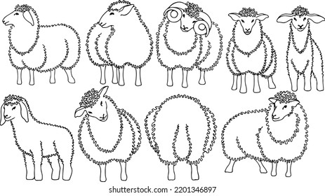 Cute outline sheep set, hand drawn witn fineliner. Black line design isolated on transparent background for any use. Vector illustration.
