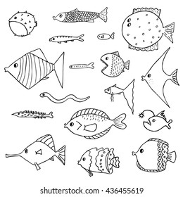 Cute outlined fish. Vector illustration. Isolated on white background.