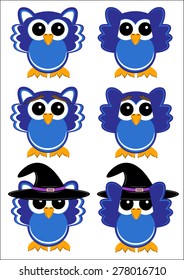 cute owl