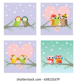 Cute Owl in action in the winter session