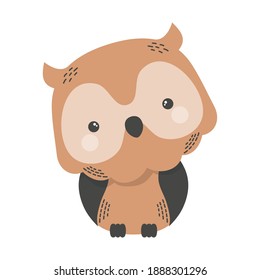 cute owl animal comic character vector illustration design