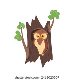 Cute owl bird cartoon character rest in nest inside on hollow vector illustration isolated on white