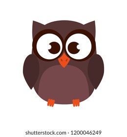 cute owl bird character