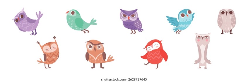 Cute Owl Bird with Feather and Wing Vector Set
