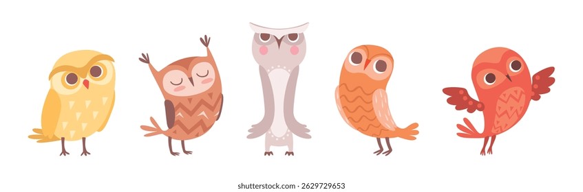 Cute Owl Bird with Feather and Wing Vector Set