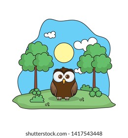 cute owl bird in the landscape