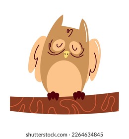 cute owl bird wild animal