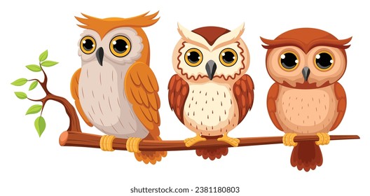 Cute owl birds cartoon, funny owlets sitting on tree branch