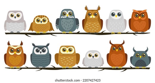 Cute owl birds set. Funny owlets, feathered animals, sitting on tree branches and watching with bulging eyes. Amusing smart birdies. Cartoon flat vector illustration