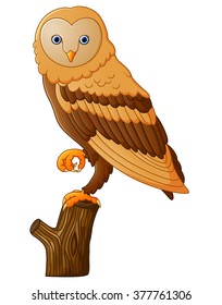 Cute owl cartoon