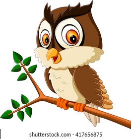 cute owl cartoon