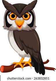 Cute owl cartoon posing