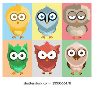 Cute Owl Character Vector