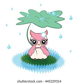 cute owl character vector cartoon designs