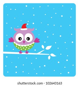 cute owl in christmas holiday