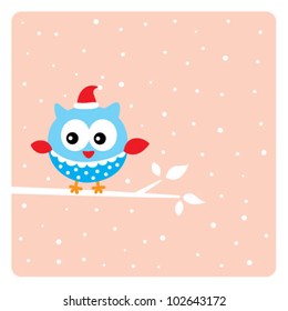 cute owl in christmas holiday