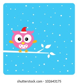 cute owl in christmas holiday