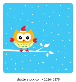 cute owl in christmas holiday