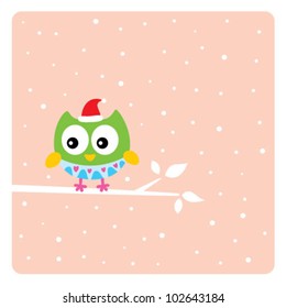 cute owl in christmas holiday