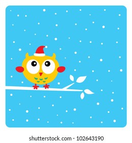 cute owl in christmas holiday