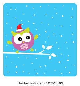 cute owl in christmas holiday