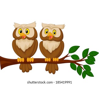 Cute Owl Couple Cartoon