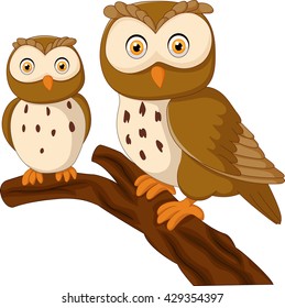 Cute owl couple cartoon