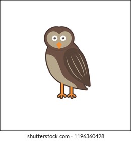 cute owl design