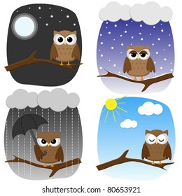 Cute owl in different conditions with different mood